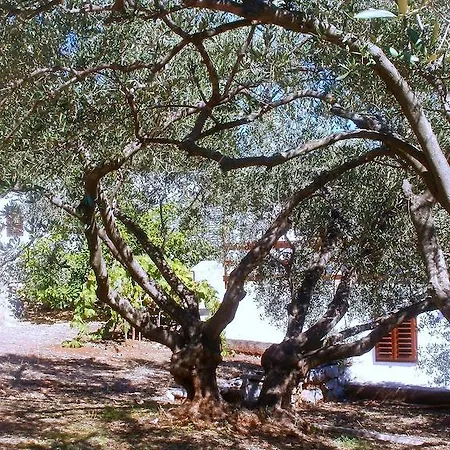 Sonija Διαμέρισμα *